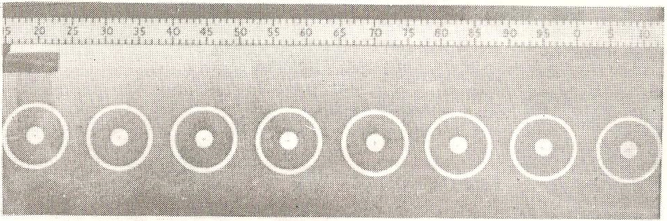 Deslocamento do disco em foto estroboscópica